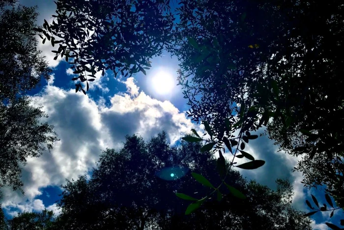 Una Luce che trasfigura