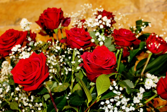 Una corona di rose