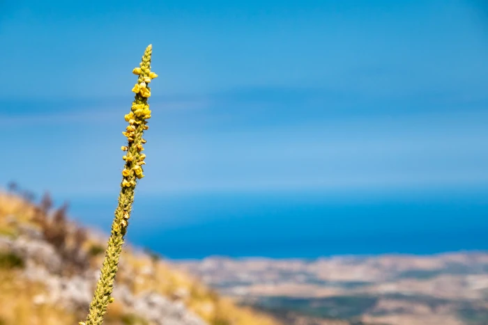 Alle soglie dell’eternità