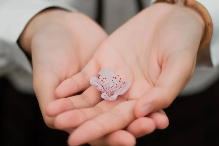 La gioia dell’amore