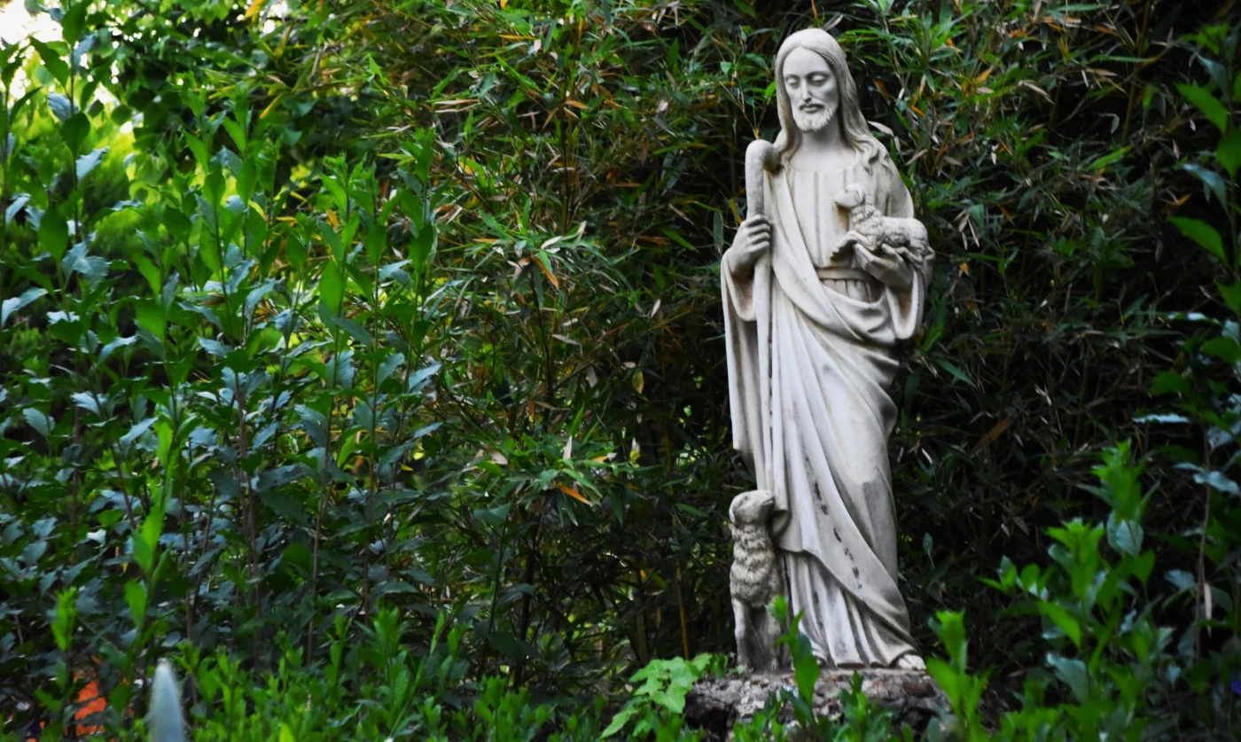 Seguendo il Buon Pastore