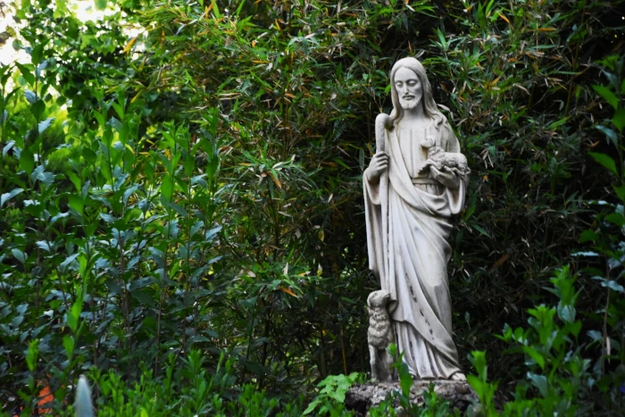 Seguendo il Buon Pastore
