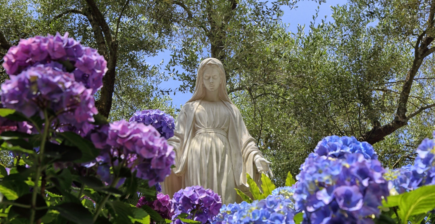 Con Maria nasce il fiore della vita