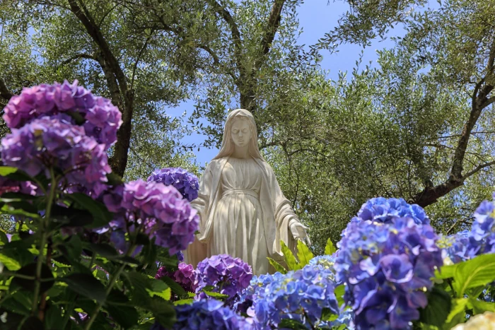 Con Maria nasce il fiore della vita